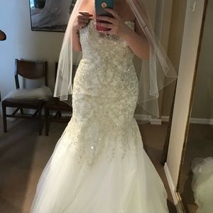 Brand new wedding dress!!!
